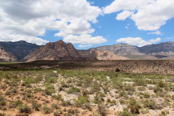 istock Panoramic view of the Nevada state desert with mountains in the background. 1351462784