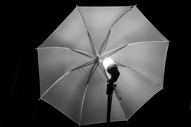 istock . Photography lamps on black background 1351462799
