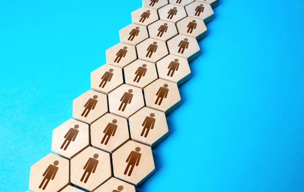 istock People are connected in an organized structure. Human resources. Unity. Team building, teamwork cooperation. Discipline. Social organization, joining consolidated forces. Hiring employees, recruiting 1351465069