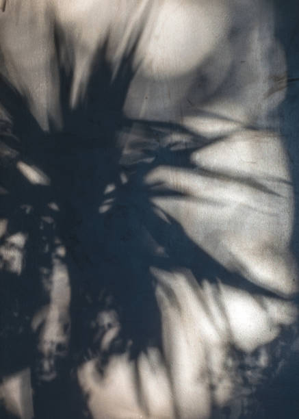 istock abstract play of light and shadow 1351466455