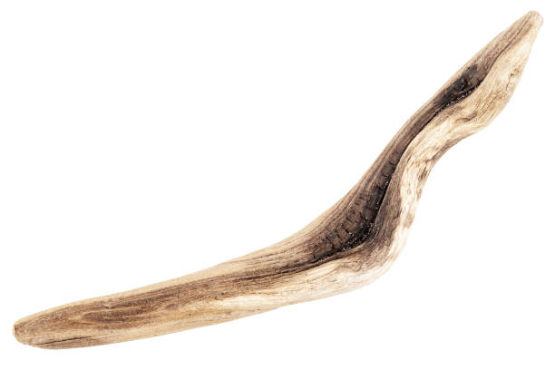 istock Piece of driftwood isolated on white 1351466520