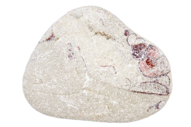 istock Top view of single gray pebble 1351466742