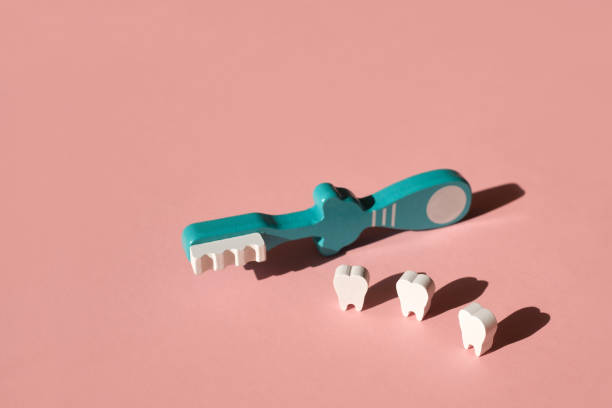 istock Three teeth and a blue toothbrush side by side on a pink background. 1351467449