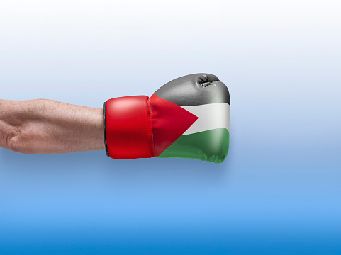 Boxing glove with national flag of Palestine