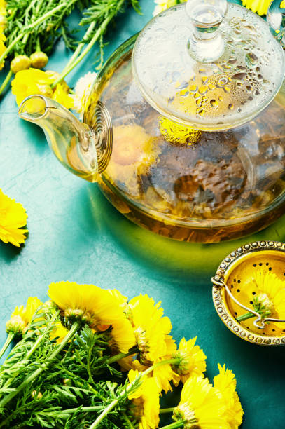 istock Teapot with fresh flower tea,herbal medicine 1351467635