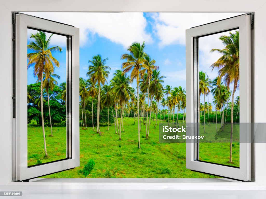 Photo Window Open View View From An Open Window To The Jungle Stock Photo - Download Image Now ...