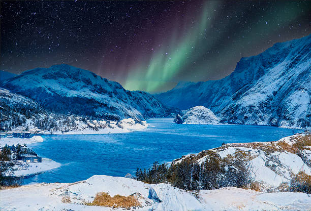 Aurora Boreal in the night Mountains by the sea in Lofoten, Norway on a cloudy day boreal forest stock pictures, royalty-free photos & images