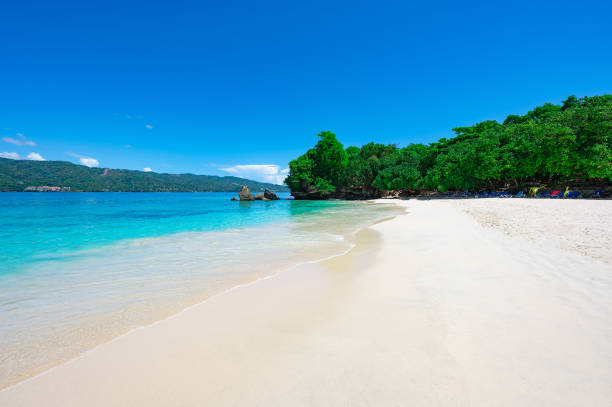 istock paradise beach bacardi island 1351469742
