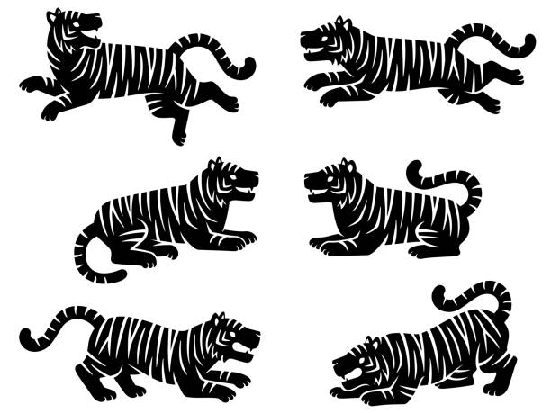 illustrations, cliparts, dessins animés et icônes de ensemble d’illustrations de silhouettes de tigres dans diverses poses - seated tiger