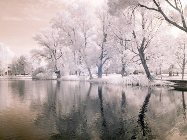 istock infrared surreal landscape, infrared photography 1351477183