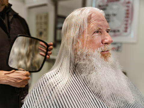 Santa Clause at the Barber Shop: senior man with long grey hair and long beard and moustache, having his hair and beard trimmed at the barber shop by his trusty barber. Interior of Barber shop small business.