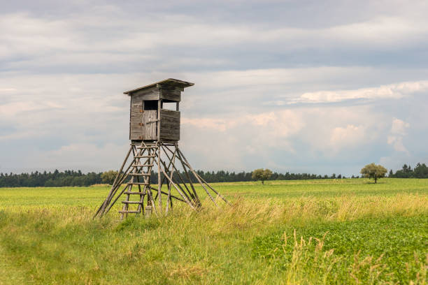 istock hunting blind on a field, in the background the sky with white clouds 1351480050