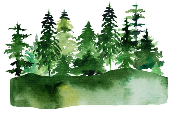 istock Winter Christmas Watercolor with green coniferous trees landscape 1351480366