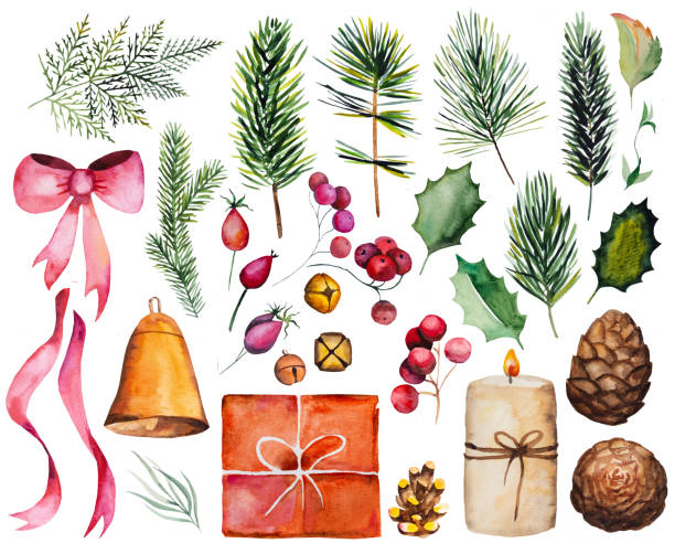 illustrations, cliparts, dessins animés et icônes de aquarelles de noël d’hiver avec des branches de sapin, des baies, des pommes de pin, des cadeaux et des bougies - evergreen tree pine tree painted image watercolour paints