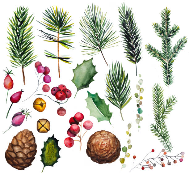 istock Winter Christmas Watercolors set with fir tree branches, bells, holly leaves and berries 1351480376
