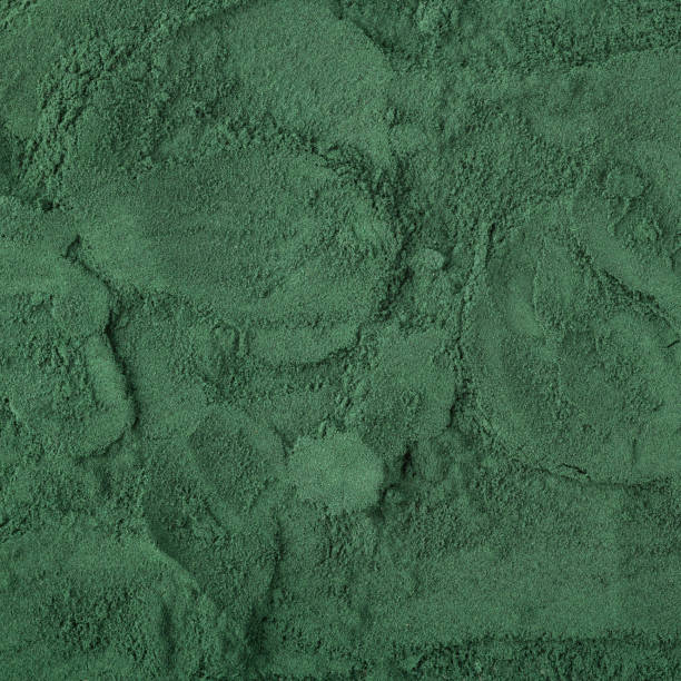 istock Closeup, top view of spirulina algae powde 1351480421