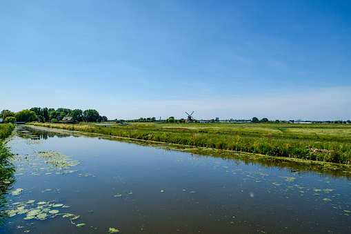 The nature reserve of Midden Delfland, a beautiful agricultural polder landscape near Rotterdam, the Netherlands