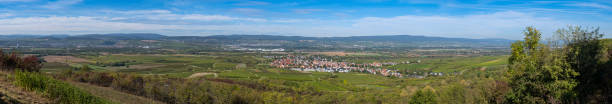 istock Viticulture in Rheinhessen 1351483167