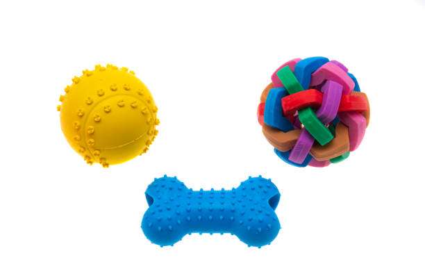 toys for dogs isolated