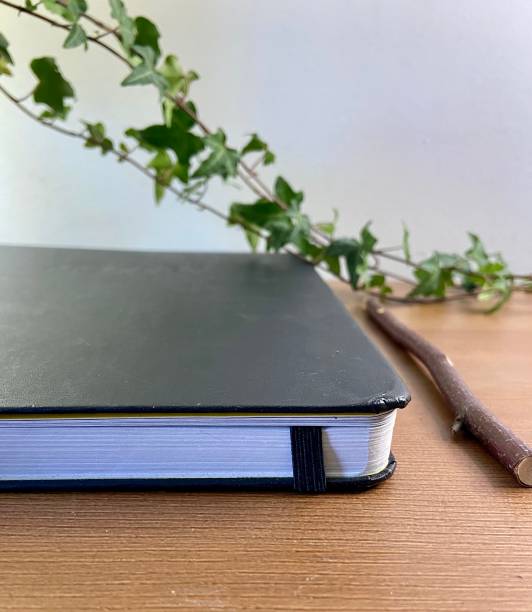 istock Close up of journal on a desk. 1351485280