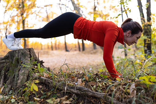 A young women doing counter push-ups in the forest with the help of a stump
