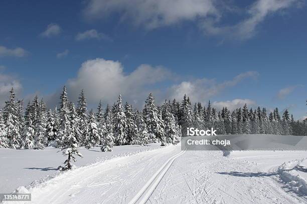 Ski Corredor En Un Hermoso Invierno Dayrogla Eslovenia Foto de stock y más banco de imágenes de Actividades recreativas