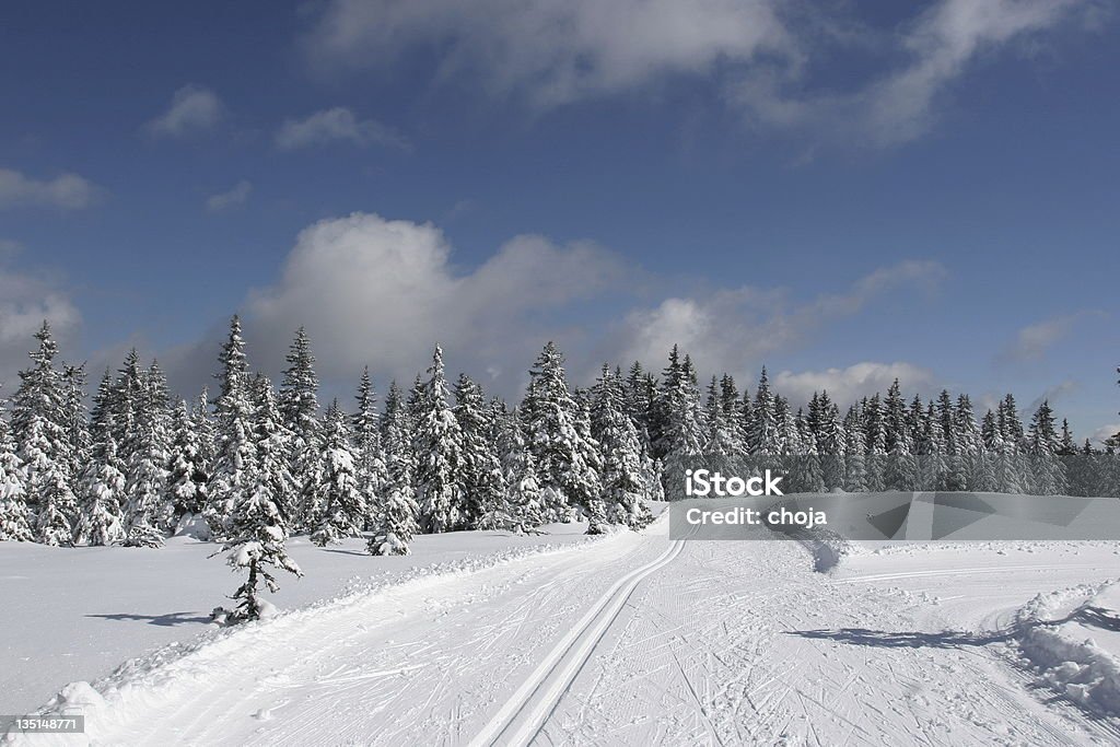 스키복 runner 있는 아름다운 겨울맞이 day.Rogla, 슬로베니아 - 로열티 프리 겨울 스톡 사진
