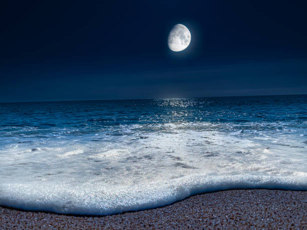istock waves on the shore of the beach at night 1351489932