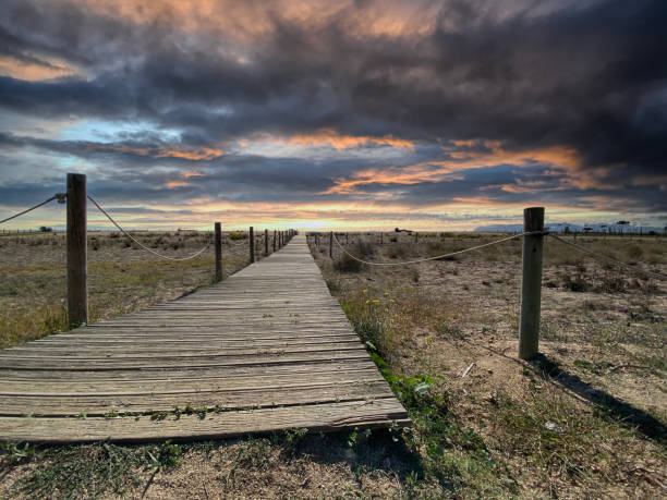 istock wooden path to the sea 1351490072
