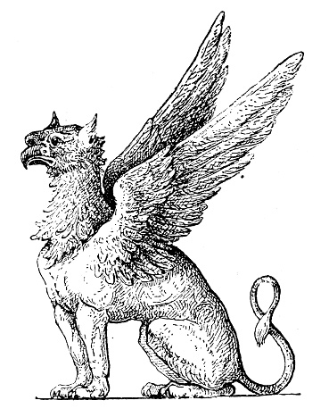 Antique illustration: Gryphon (mythology)