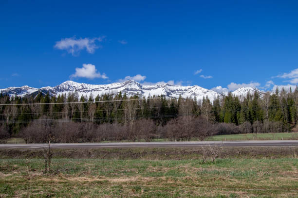 istock snow capped Mount Fernie British Columbia, Canada 1351494100