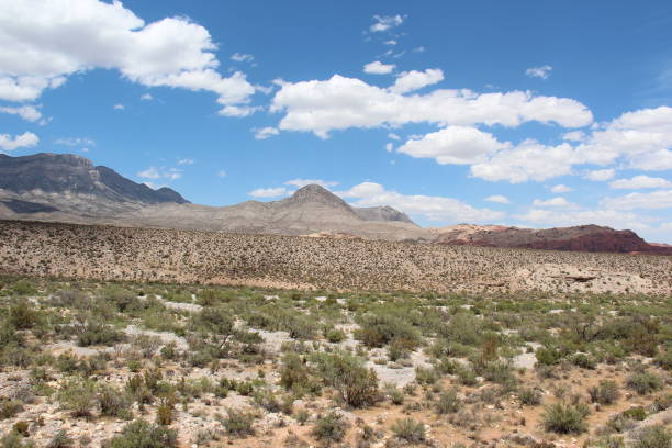 istock Panoramic view of the Nevada state desert with mountains in the background. 1351494206