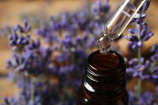 istock Dripping lavender essential oil into bottle, closeup. Space for text 1351498167