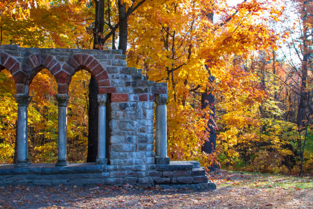istock Autumn leaves around old ruins 1351499262