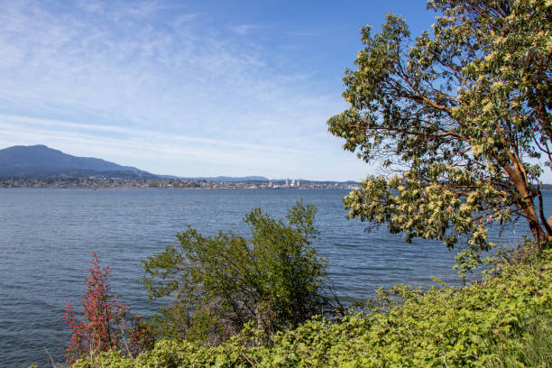 istock view of Nanaimo, British Columbia from Jack's Point 1351503194