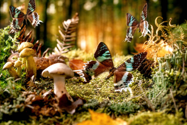 istock Fairy tale ambiance magical autumn forest background 1351504372
