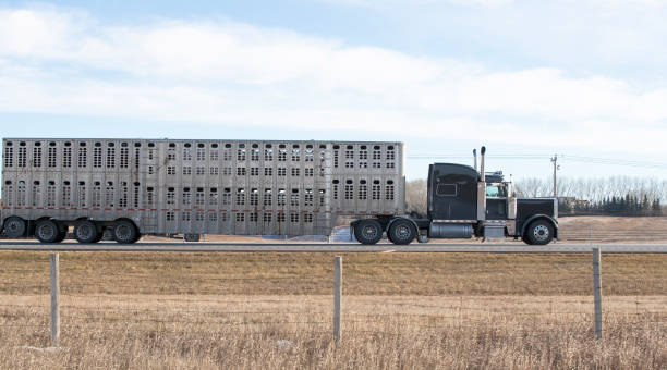 istock Heavy Cargo on the Road 1351508509