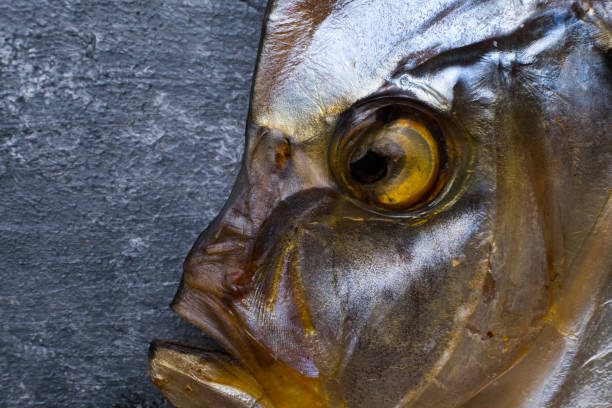 Fish head close up Close up Vomer head smoked fish on the wooden background. Copy space. opah photos stock pictures, royalty-free photos & images