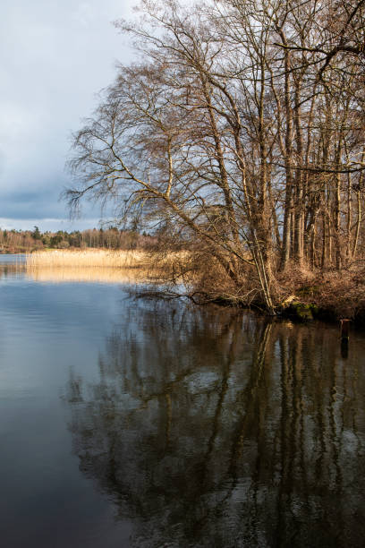istock Autumn at the Lake 1351508836