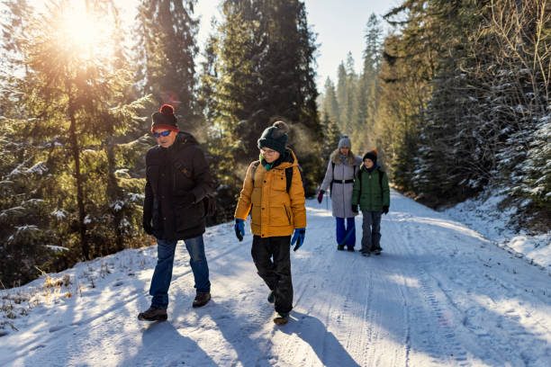 istock Multi generation family enjoying hiking in winter forest. 1351512325