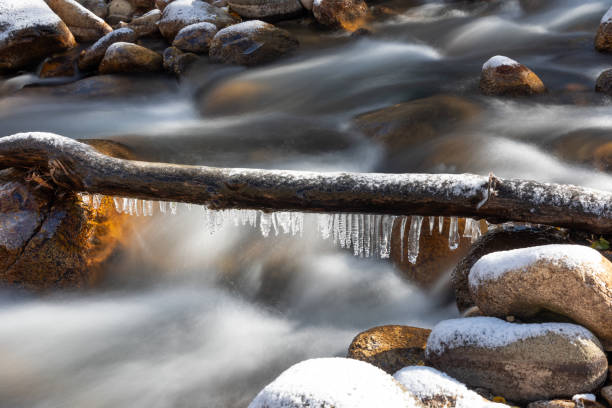 Icicles hang off a branch crossing a stream