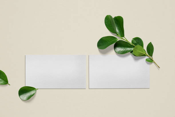 istock Clean minimal business card mockup on texture with leaves background 1351517126