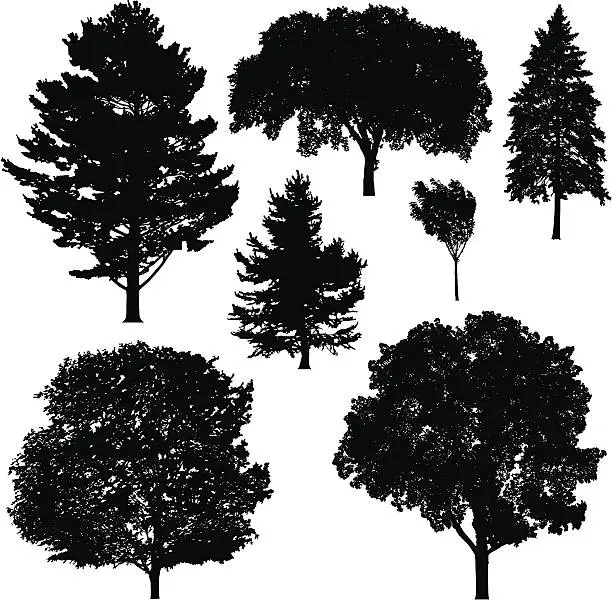 Vector illustration of Tree Silhouettes