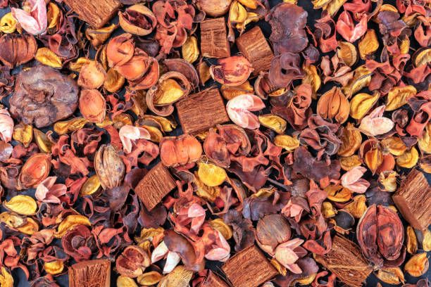istock Background with dried exotic flowers. Flavored dried flowers. 1351522581