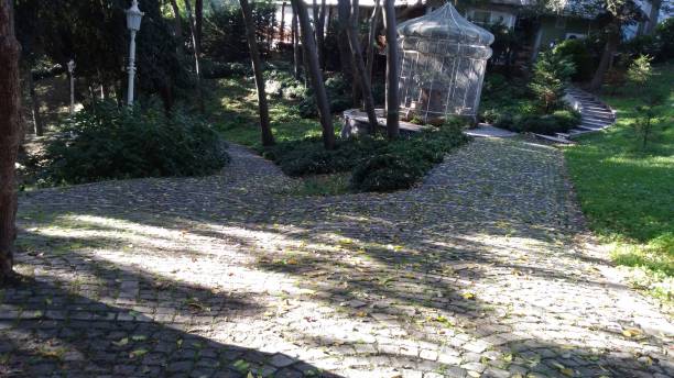 istock stone paved road in the park 1351524462