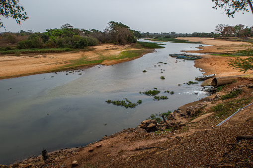 Panorama from Pantanal, Brazilian wetland region. Navigable lagoon. South America landmark