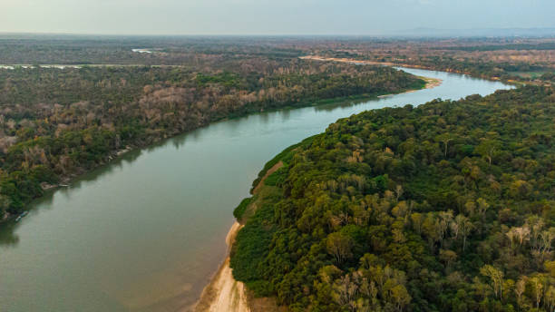 вид с воздуха на реку парагвай - пантанал - riparian forest стоковые фото и изображения