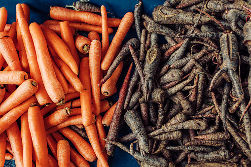 Organic Black Purple and orange Carrots for Sale at Market Bazaar. Ready to Use.