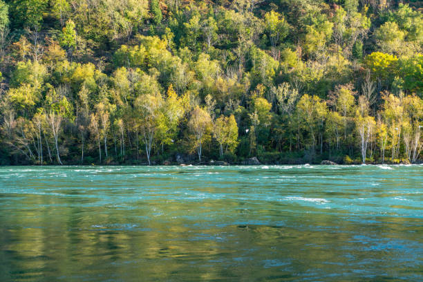 istock Niagara Glen park and Niagara River in Canada before Niagara Falls 1351535649