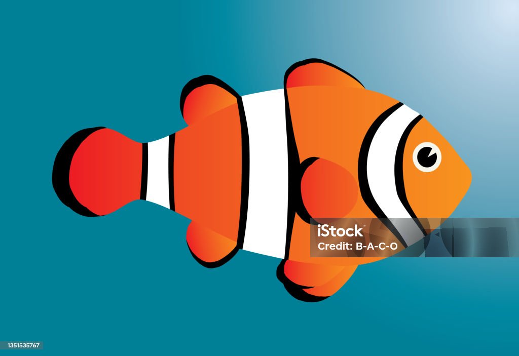 Orange Fish Vector Orange Fish Stock Illustration - Download Image Now - Animal, Animal ...